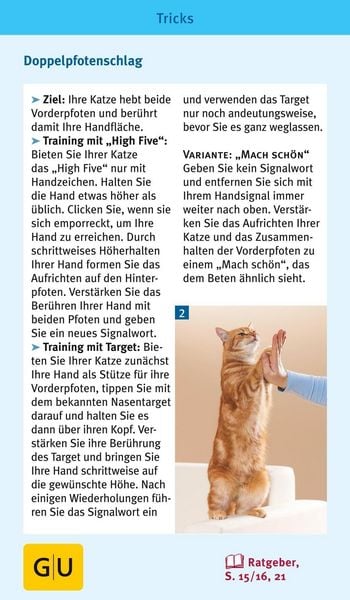 Produktbild: Katzen-Clicker-Box