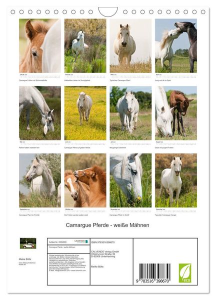 Produktbild: Camargue Pferde - wei&szlig;e M&auml;hnen (Wandkalender 2026 DIN A4 hoch), CALVENDO Monatskalender