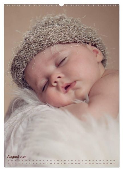 Produktbild: Babys - Die Liebe des Lebens (Wandkalender 2026 DIN A2 hoch), CALVENDO Monatskalender