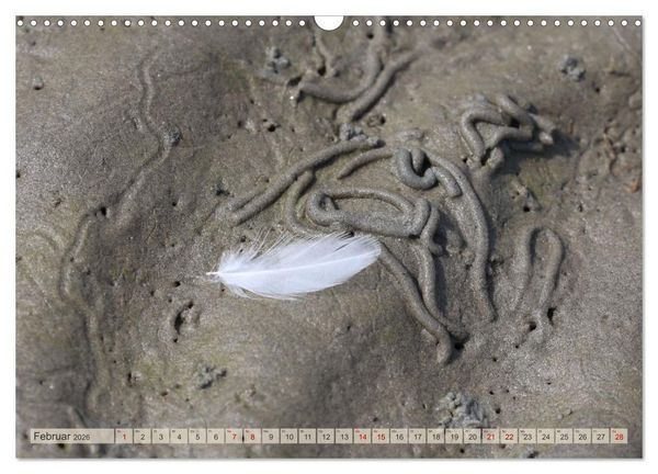 Produktbild: Cuxland, Urlaubsgl&uuml;ck zwischen Nordsee und Elbe (Wandkalender 2026 DIN A3 quer), CALVENDO Monatskalender