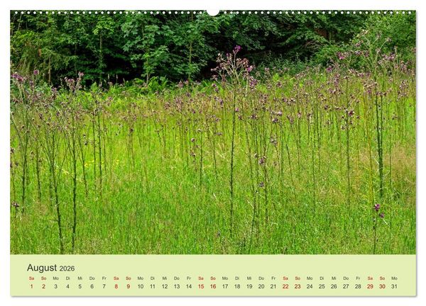 Produktbild: Wilde Blumen - ein Spaziergang durch die Natur (Wandkalender 2026 DIN A2 quer), CALVENDO Monatskalender