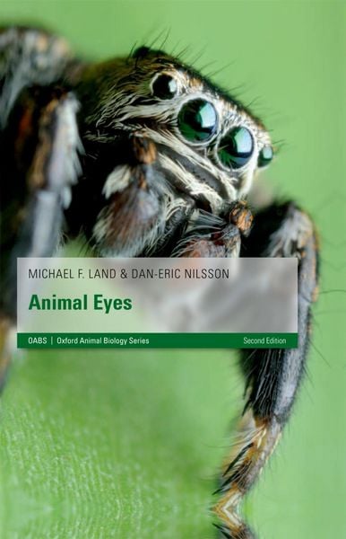 Produktbild: Animal Eyes