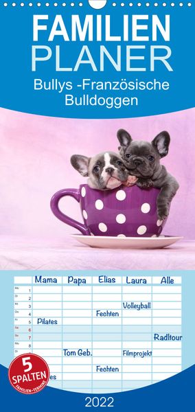 Produktbild: Bullys - Franz&ouml;sische Bulldoggen 2022 - Familienplaner hoch (Wandkalender 2022 , 21 cm x 45 cm, hoch)
