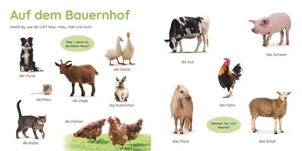 Produktbild: Erstes Lernen Puzzlebuch. Tiere