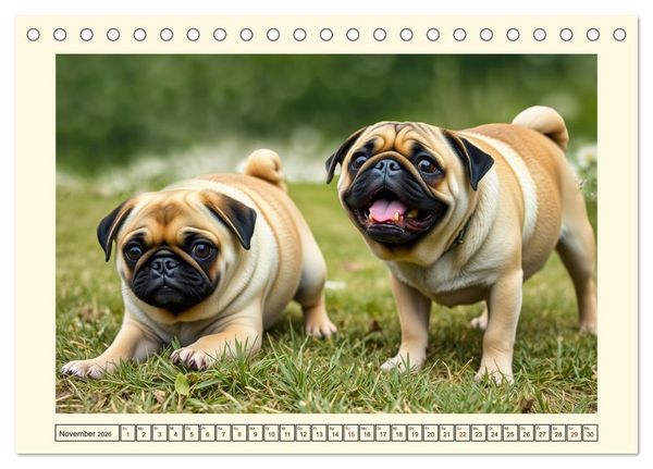 Produktbild: Winzlinge der Hundewelt (Tischkalender 2026 DIN A5 quer), CALVENDO Monatskalender