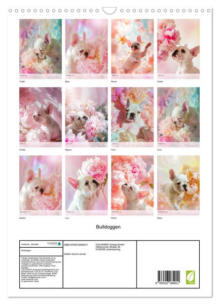 Produktbild: Bulldoggen (Wandkalender 2026 DIN A3 hoch), CALVENDO Monatskalender