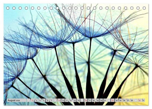 Produktbild: PusteblumenZauber (Tischkalender 2026 DIN A5 quer), CALVENDO Monatskalender
