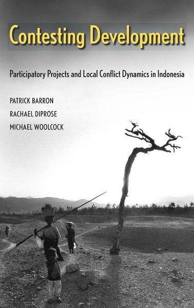 Produktbild: Contesting Development