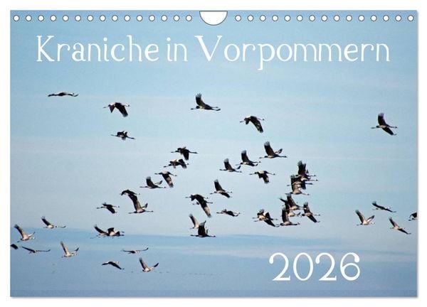 Produktbild: Kraniche in Vorpommern (Wandkalender 2026 DIN A4 quer), CALVENDO Monatskalender