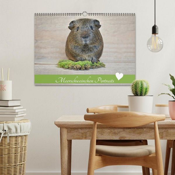 Produktbild: Meerschweinchen Portraits (Wandkalender 2026 DIN A3 quer), CALVENDO Monatskalender