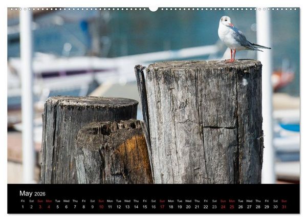 Produktbild: Lake Garda Italy (High Quality Premium Wall Calendar 2026 DIN A2 landscape),CALVENDO 12 Month Wall Calendar