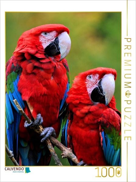 CALVENDO Puzzle Grünflügelara Pärchen | 1000 Teile Lege-Größe 64x48cm Foto-Puzzle für glückliche Stunden