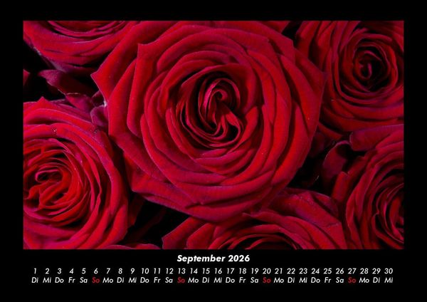 Produktbild: Rosentraum 2026 Fotokalender DIN A3