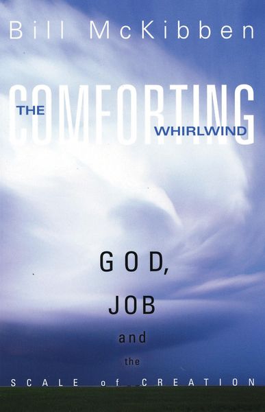 Produktbild: The Comforting Whirlwind