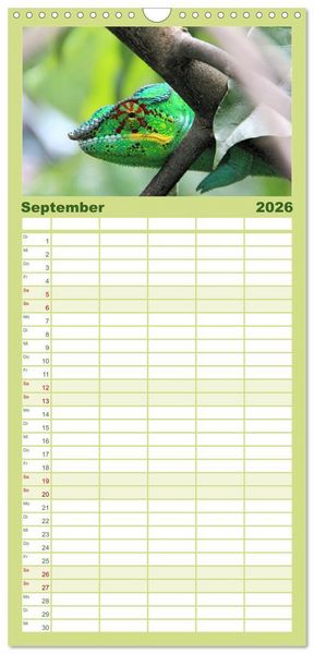 Produktbild: Familienplaner 2026 - Tiere Madagaskars mit 5 Spalten (Wandkalender, 21 x 45 cm) CALVENDO