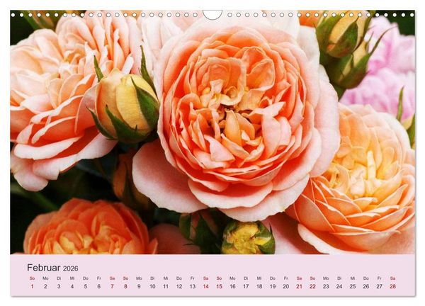 Produktbild: Rosen Reigen im Garten (Wandkalender 2026 DIN A3 quer), CALVENDO Monatskalender