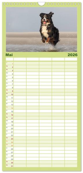 Produktbild: Familienplaner 2026 - Liebling BERNER SENNENHUND mit 5 Spalten (Wandkalender, 21 x 45 cm) CALVENDO