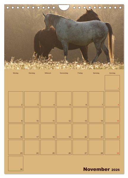 Produktbild: Pferde Gute Freunde (Wandkalender 2026 DIN A4 hoch), CALVENDO Monatskalender