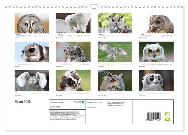 Produktbild: Eulen 2026 (Wandkalender 2026 DIN A3 quer), CALVENDO Monatskalender