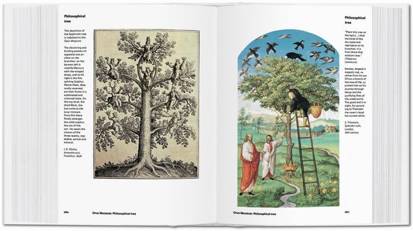 Produktbild: Alchemy & Mysticism