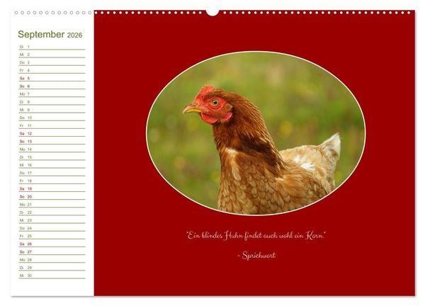 Produktbild: Freilaufende H&uuml;hner (hochwertiger Premium Wandkalender 2026 DIN A2 quer), Kunstdruck in Hochglanz