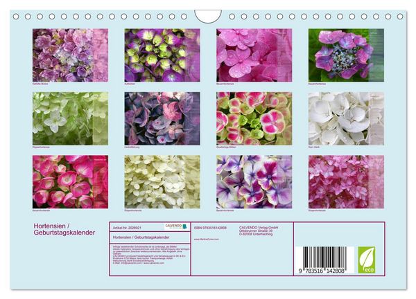 Produktbild: Hortensien / Geburtstagskalender (Wandkalender 2026 DIN A4 quer), CALVENDO Monatskalender