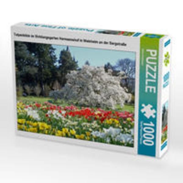 CALVENDO Puzzle Tulpenblüte im Sichtungsgarten Hermannshof in Weinheim an der Bergstraße 1000 Teile Lege-Größe 64 x 48 cm Foto-Puzzle Bild von Ilona Andersen