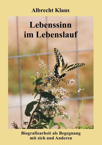 Produktbild: Lebenssinn im Lebenslauf