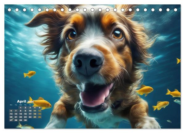 Produktbild: Dogs: intrepid swimmers (Desk Calendar 2026 DIN A5 landscape), CALVENDO 12 Month DeskCalendar
