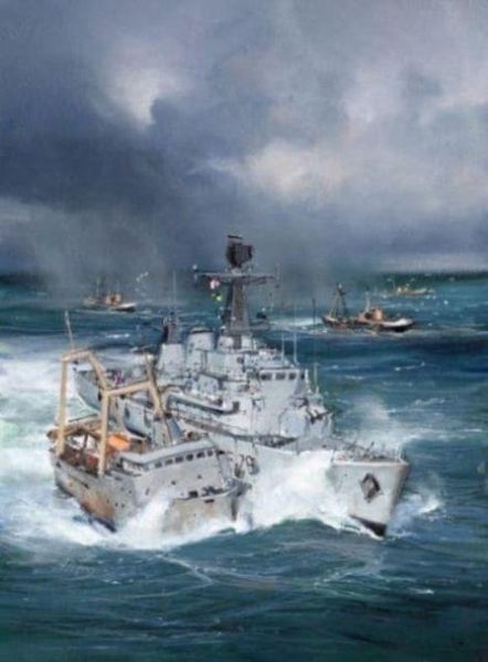 Produktbild: The Royal Navy and Fishery Protection