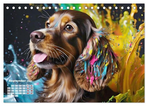 Produktbild: Splash - Hunde im Farbrausch (Tischkalender 2026 DIN A5 quer), CALVENDO Monatskalender