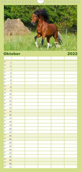 Produktbild: Welt der Pferde - Familienplaner hoch (Wandkalender 2022 , 21 cm x 45 cm, hoch)