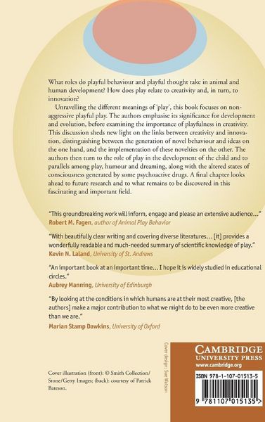 Produktbild: Play, Playfulness, Creativity and Innovation