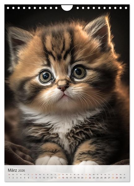 Produktbild: S&uuml;&szlig;e Katzenkinder (Wandkalender 2026 DIN A4 hoch), CALVENDO Monatskalender