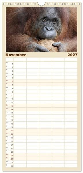 Produktbild: Familienplaner 2027 - Waldmenschen - Orang Utans auf Borneo mit 5 Spalten (Wandkalender, 21 x 45 cm) CALVENDO