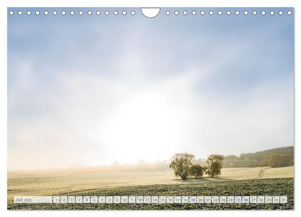 Produktbild: Bunter Pf&auml;lzerwald (Wandkalender 2026 DIN A4 quer), CALVENDO Monatskalender