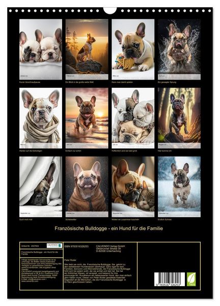 Produktbild: Franz&ouml;sische Bulldogge - ein Hund f&uuml;r die Familie (Wandkalender 2026 DIN A3 hoch), CALVENDO Monatskalender