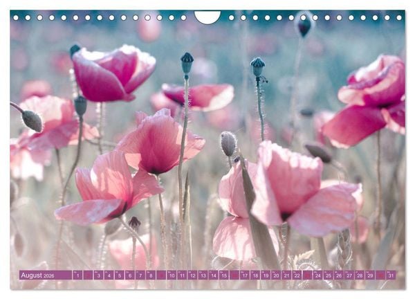 Produktbild: Mohnblumen - Fotografie mit Magie (Wandkalender 2026 DIN A4 quer), CALVENDO Monatskalender