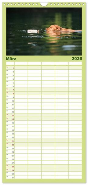 Produktbild: Familienplaner 2026 - Faszination Labrador - gelb, foxred, schwarz mit 5 Spalten (Wandkalender, 21 x 45 cm) CALVENDO