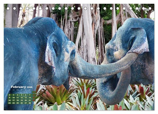 Produktbild: Gentle giants in the jungle (Desk Calendar 2026 DIN A5 landscape), CALVENDO 12 Month DeskCalendar