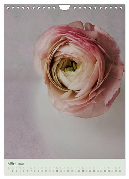 Produktbild: Flora (Wandkalender 2026 DIN A4 hoch), CALVENDO Monatskalender