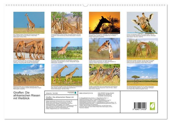 Produktbild: Giraffen: Die afrikanischen Riesen mit Weitblick (hochwertiger Premium Wandkalender 2026 DIN A2 quer), Kunstdruck in Hochglanz