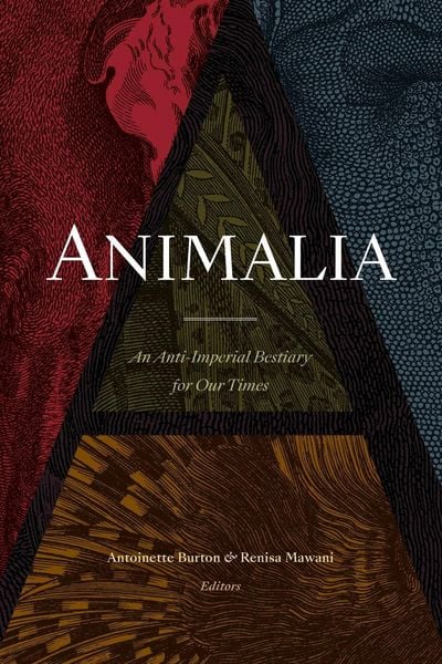 Produktbild: Animalia