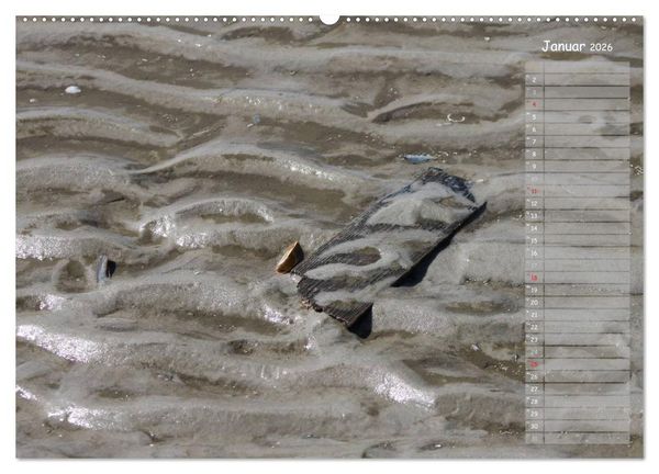 Produktbild: Strandspaziergang / Geburtstagskalender (hochwertiger Premium Wandkalender 2026 DIN A2 quer), Kunstdruck in Hochglanz