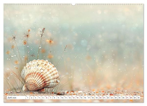 Produktbild: Sandgefl&uuml;ster und Muschelzauber (hochwertiger Premium Wandkalender 2026 DIN A2 quer), Kunstdruck in Hochglanz