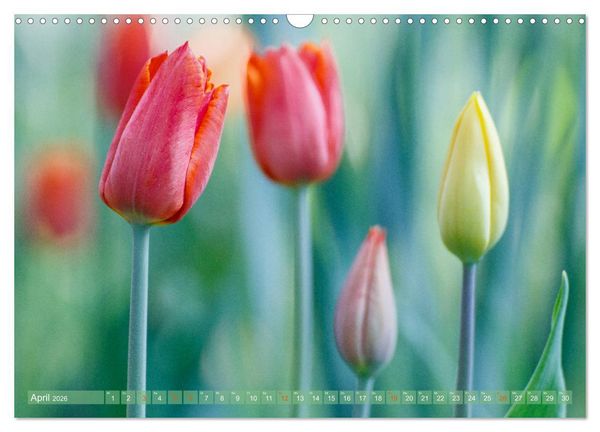 Produktbild: Die Poesie der Pflanzenwelt - Im Wandel der Jahreszeiten (Wandkalender 2026 DIN A3 quer), CALVENDO Monatskalender