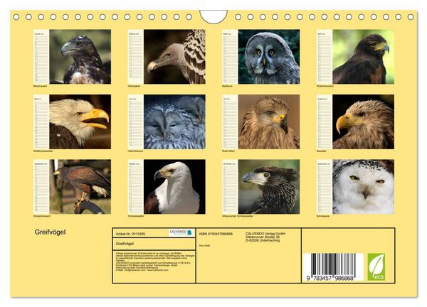 Produktbild: Greifv&ouml;gel (Wandkalender 2026 DIN A4 quer), CALVENDO Monatskalender