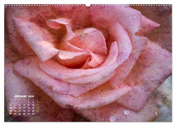 Produktbild: Rosen Romantik (Wandkalender 2026 DIN A2 quer), CALVENDO Monatskalender