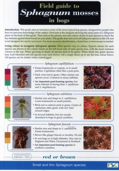Produktbild: Field Guide to Sphagnum Mosses in Bogs