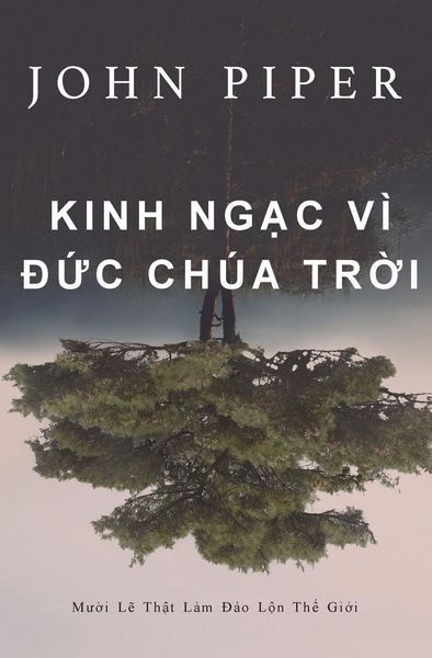 Produktbild: Kinh ng&iquest;c v&igrave; &iquest;&iquest;c Ch&uacute;a Tr&iquest;i
